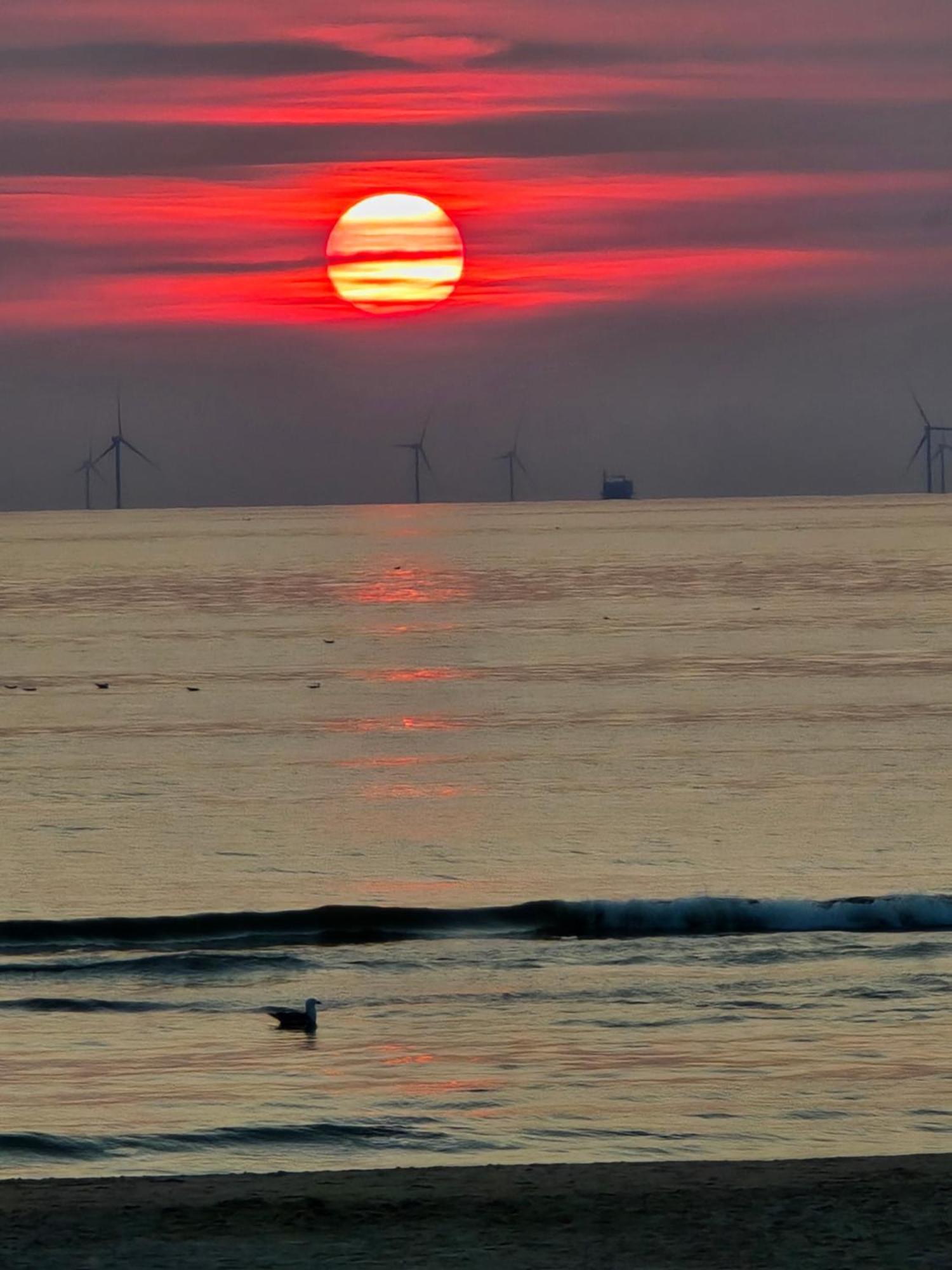Zeezuid Vila Egmond aan Zee Exterior foto